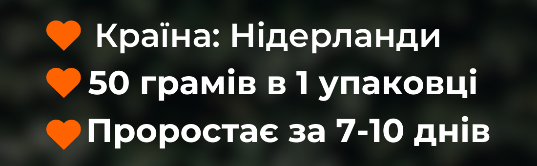 Image title